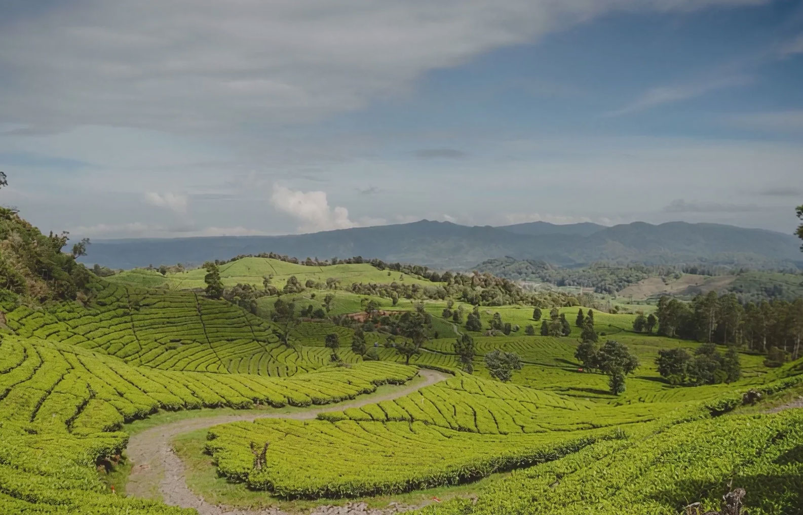 Ympäristövaikutukset